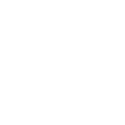 brush