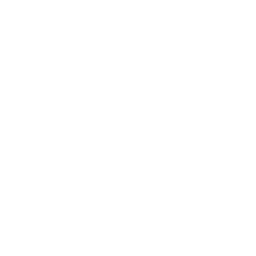 vve